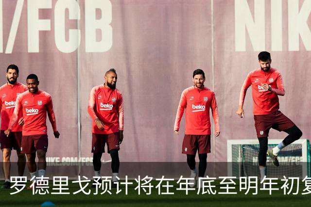 罗德里戈预计将在年底至明年初复出